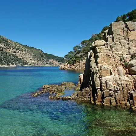 Blaumar